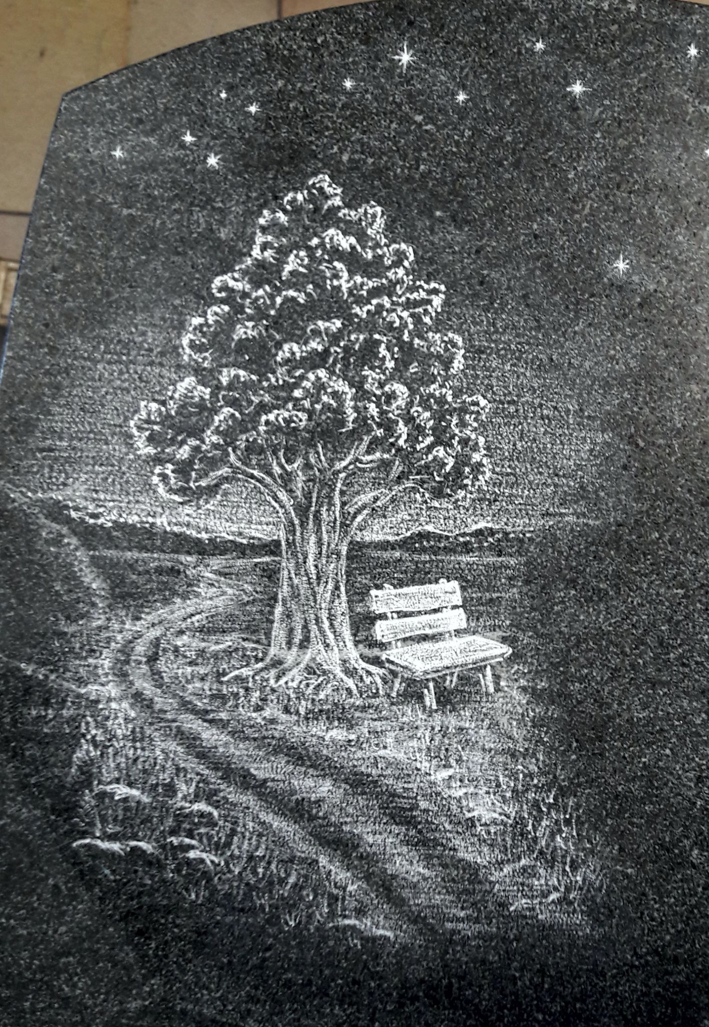 Baum mit Bank unetr Sternen